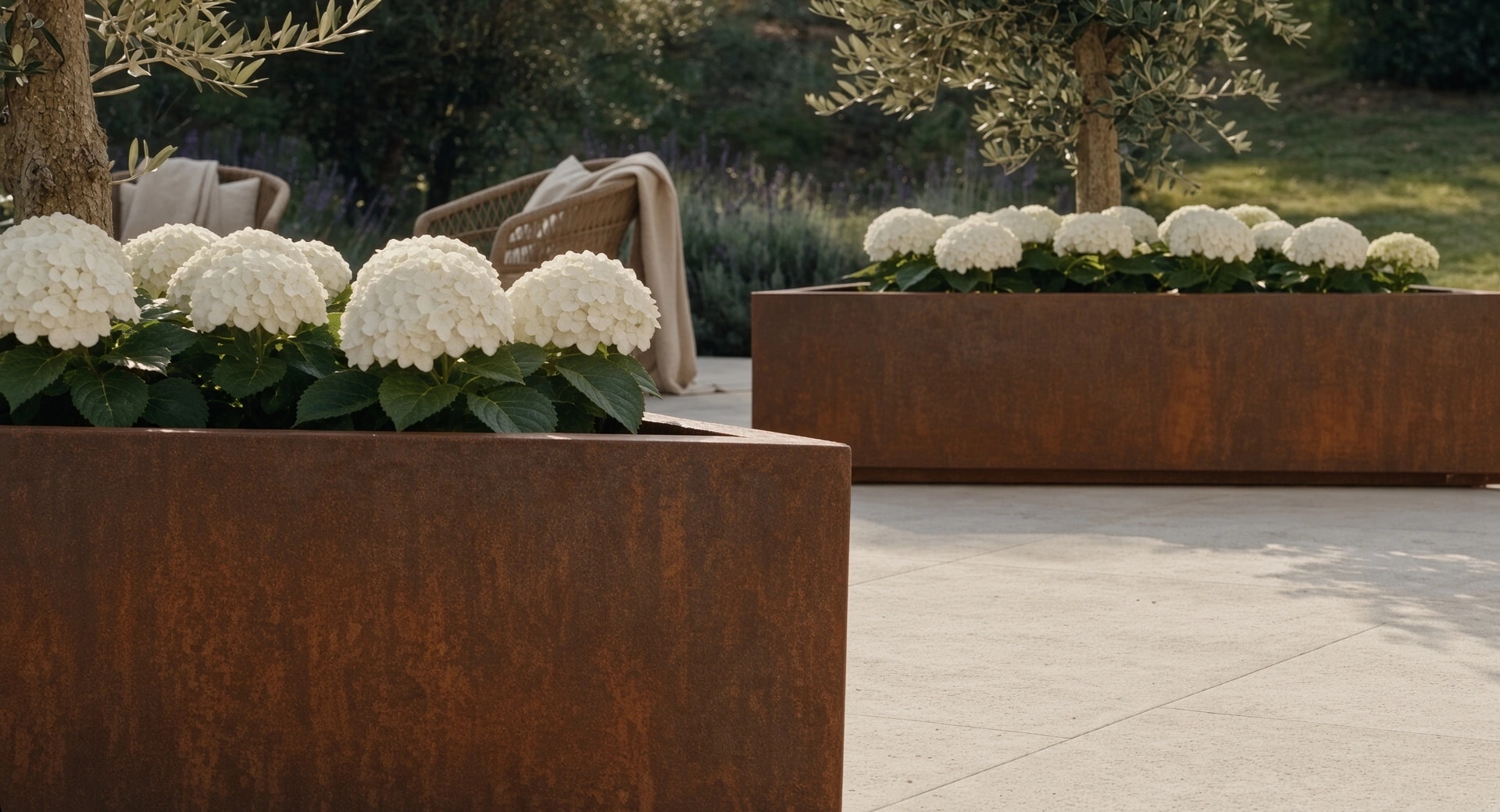 Jardinières triangulaires Iris en acier Corten aux hortensias blancs et oliviers, vues au ras d'une terrasse dallée