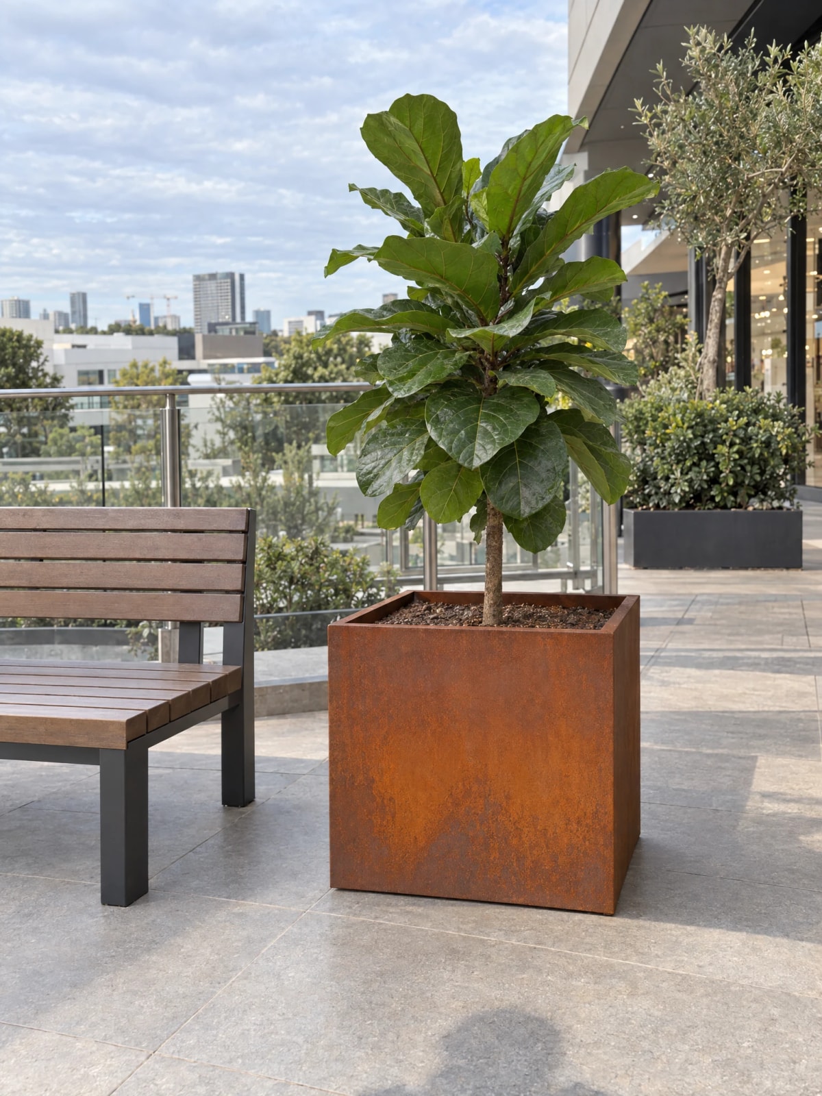 Fioriera quadrata Cybèle in acciaio Corten 2 mm con ficus lyrata vicino a una panca, su una terrazza ai piani alti
