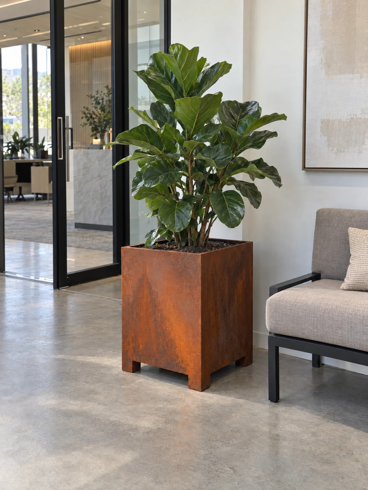 Jardinera cuadrada con patas Thalie de acero Corten con ficus lyrata en el vestíbulo de un edificio de oficinas