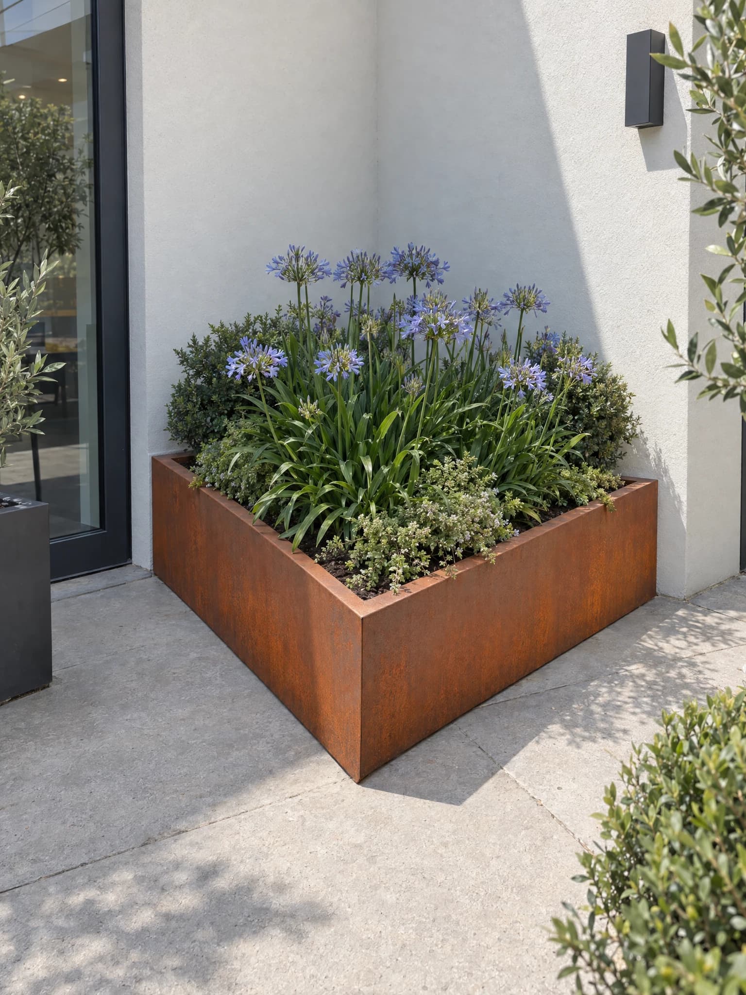 Floreira triangular Iris em aço Corten plantada com agapantos, encaixada no canto de duas paredes brancas